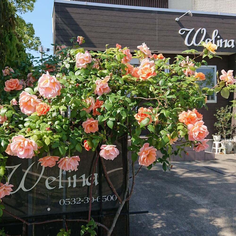 店舗写真