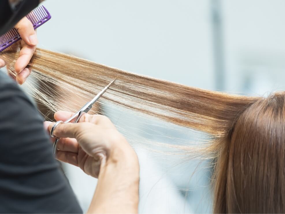 Cut -カット-